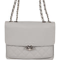 Pre-owned Chanel Companion Flap Bag Grey Goatskin Silver Hardware