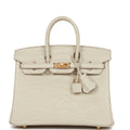 Hermes Birkin 25 Beton Matte Alligator Gold Hardware