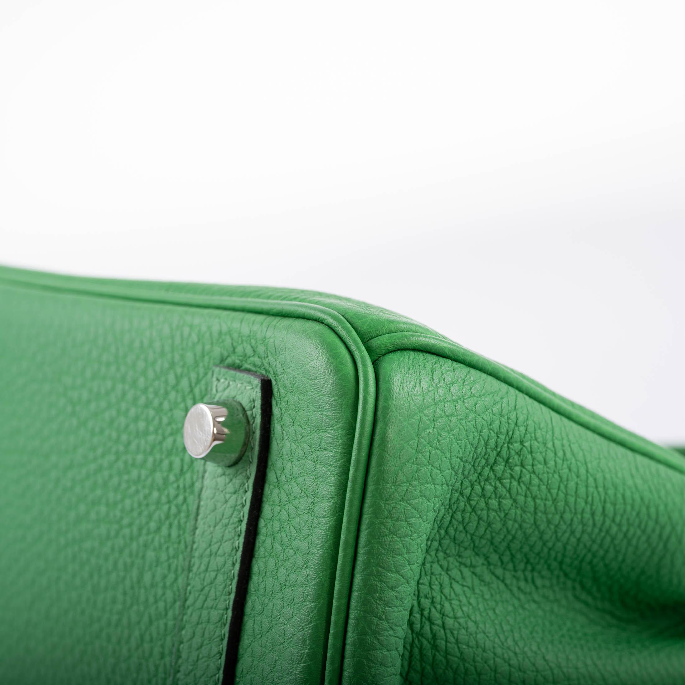 Hermès Birkin 25 Bambou (Bamboo) Green Togo with Palladium Hardware - 2014, R Square