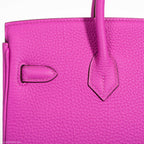 Hermès Birkin 25 Magnolia Togo Palladium Hardware - 2018, C