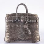 Hermès Birkin 25 Ombre Lizard Palladium Hardware