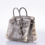 Hermès Birkin 25 Ombre Lizard Palladium Hardware