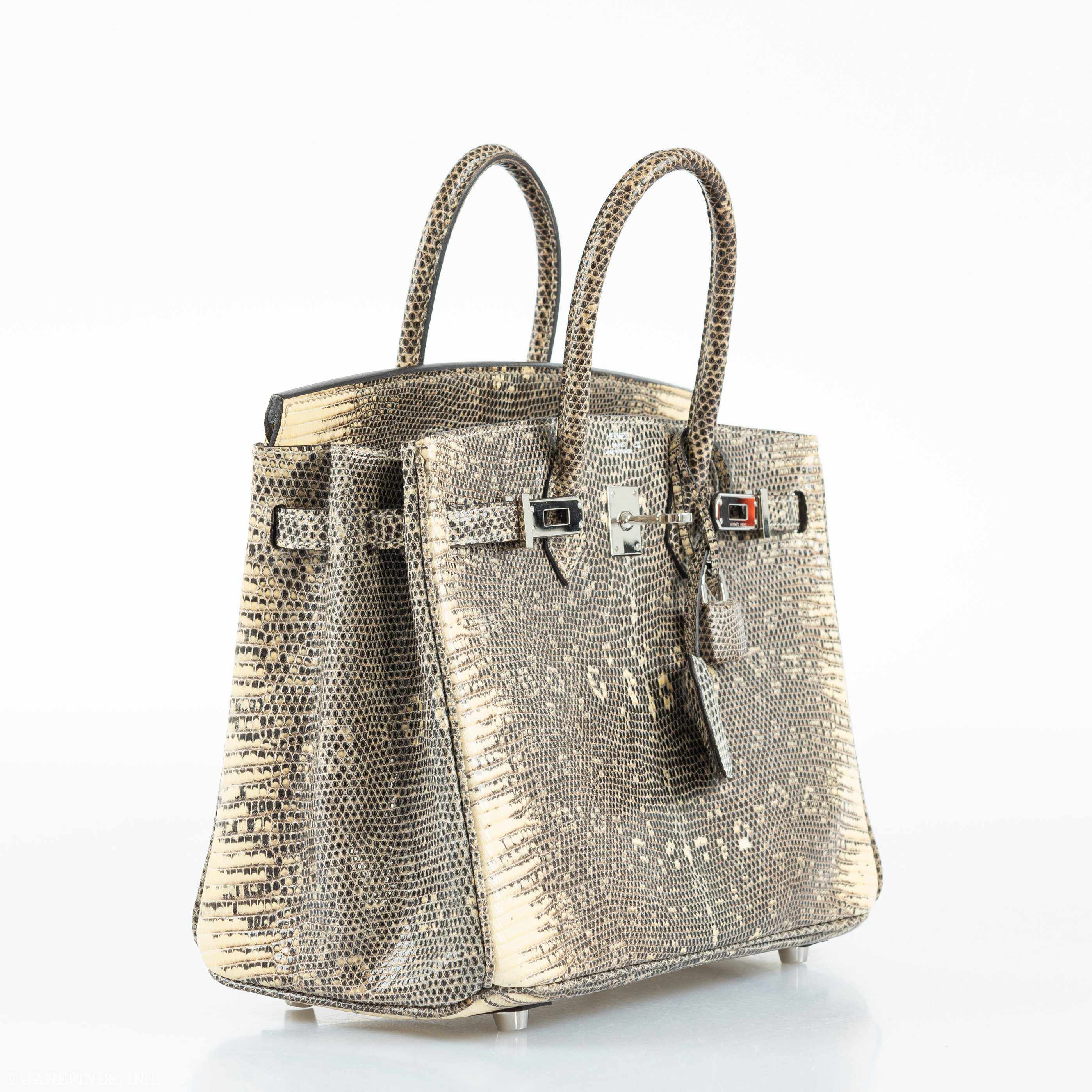Hermès Birkin 25 Ombre Lizard Palladium Hardware - Rare