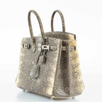 Hermès Birkin 25 Ombre Lizard Palladium Hardware - Rare