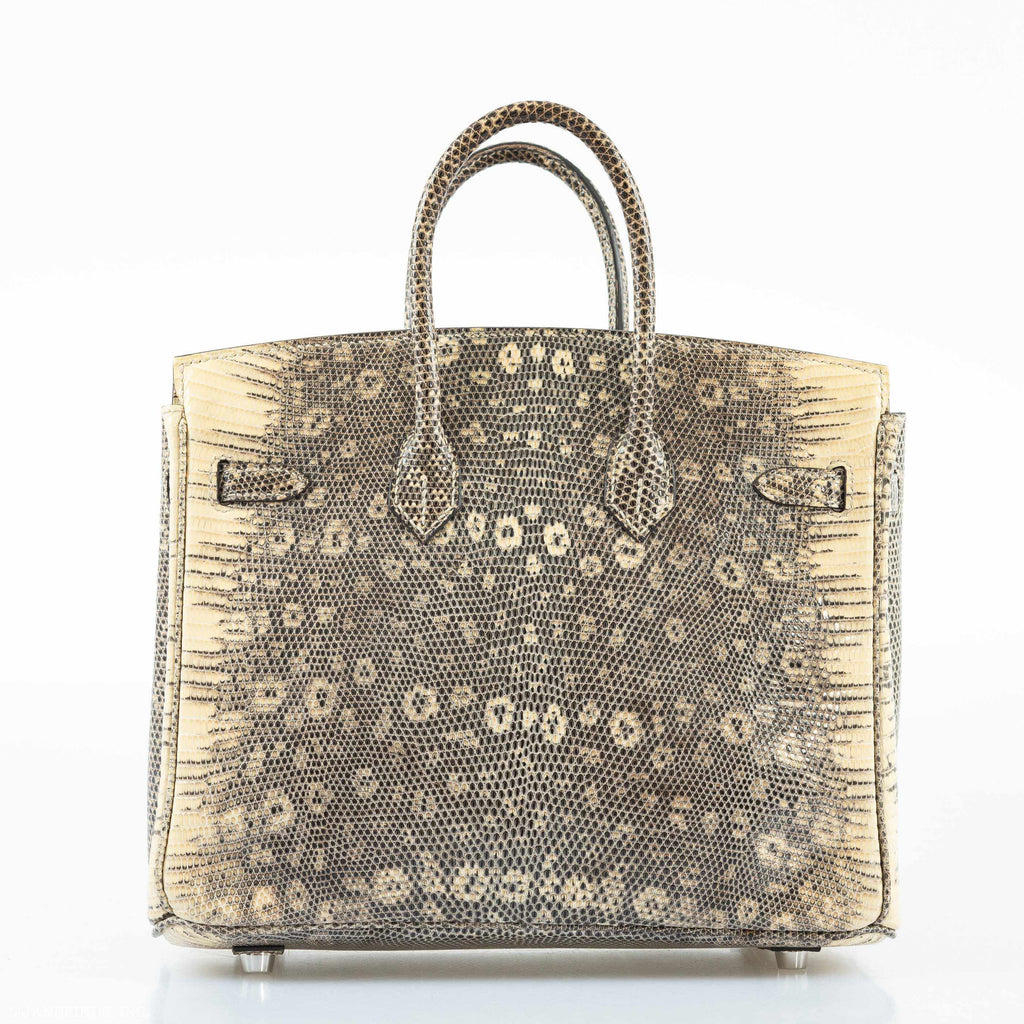 Hermès Birkin 25 Ombre Lizard Palladium Hardware - Rare