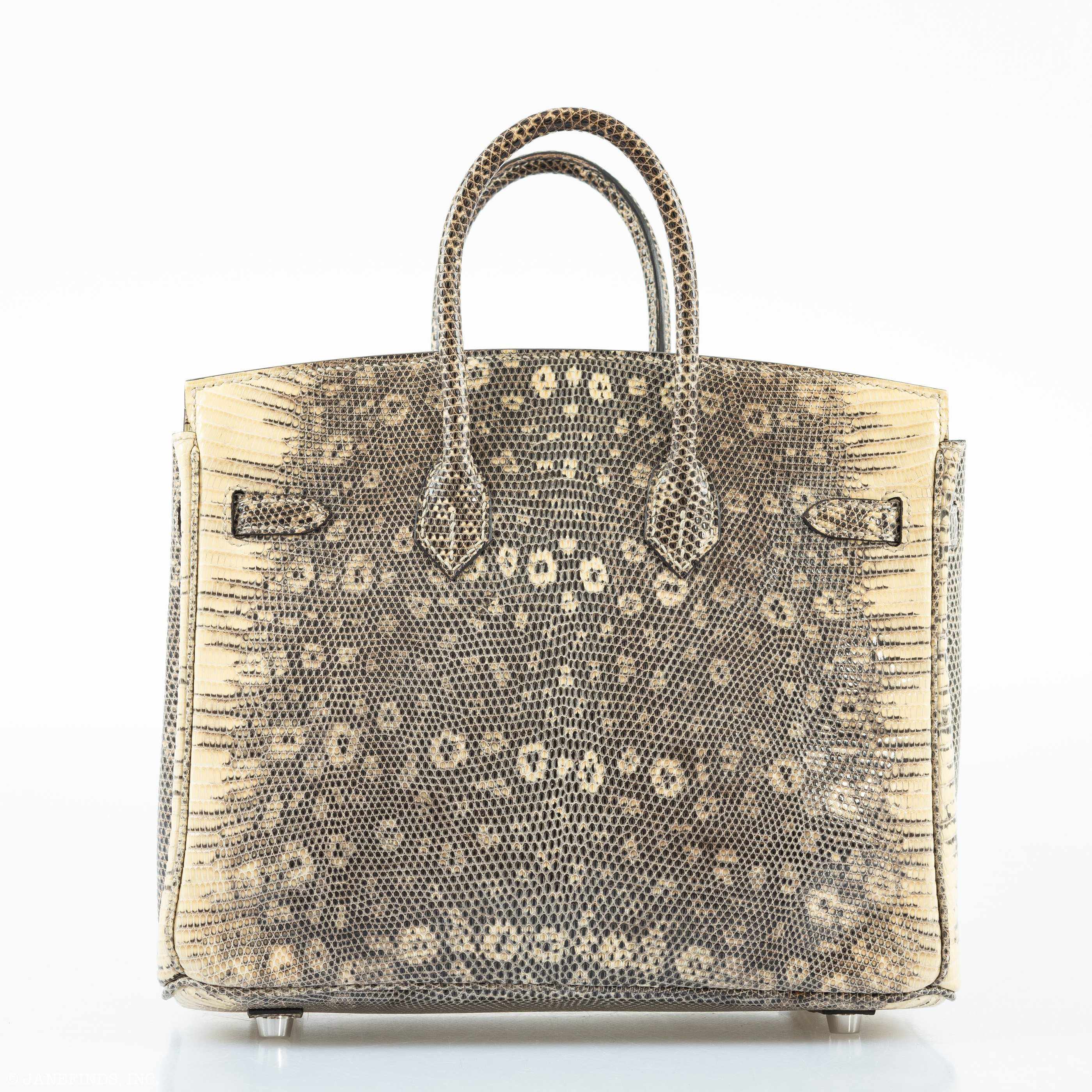 Hermès Birkin 25 Ombre Lizard Palladium Hardware - Rare