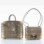 Hermès Birkin 25 Ombre Lizard Palladium Hardware - Rare