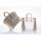 Hermès Birkin 25 Ombre Lizard Palladium Hardware - Very Rare