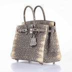 Hermès Birkin 25 Ombre Lizard Palladium Hardware - Very Rare