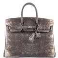 Hermès Birkin 25 Ombre Lizard Palladium Hardware