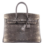 Hermès Birkin 25 Ombre Lizard Palladium Hardware