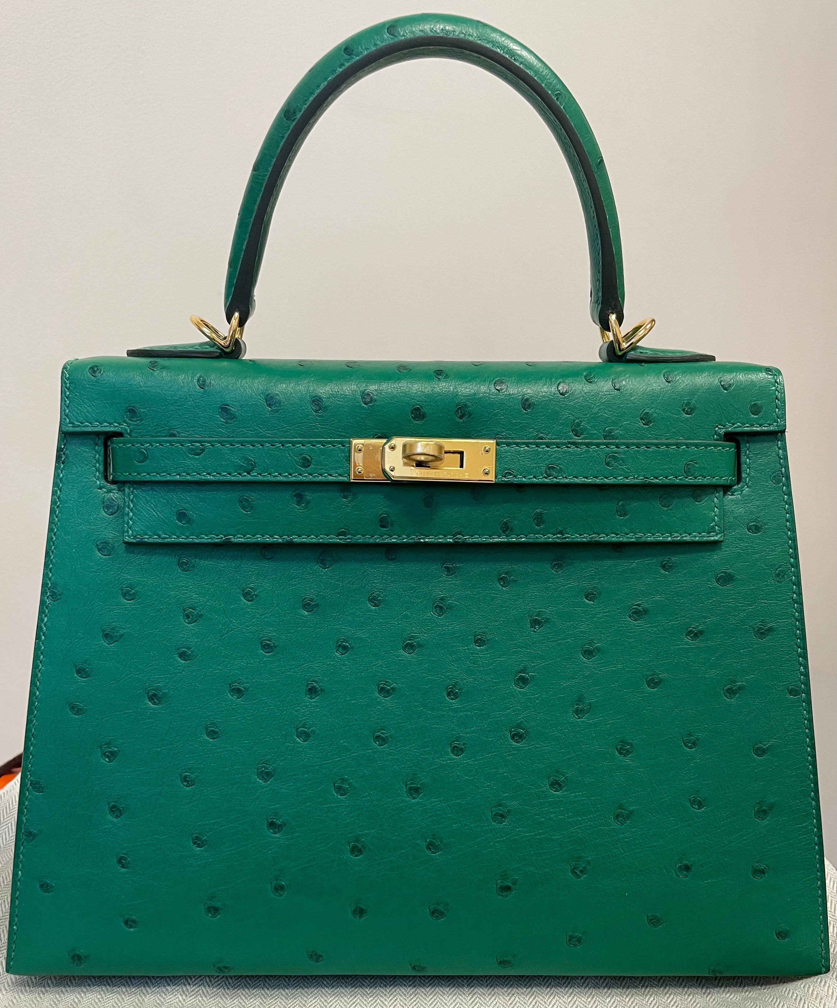 Hermes Vert Vertigo Ostrich Sellier Kelly 25cm Gold Hardware Payment 1
