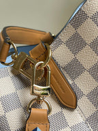 Louis Vuitton NeoNoe MM Bag