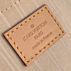 Louis Vuitton Multi Pochette Accessories Bag