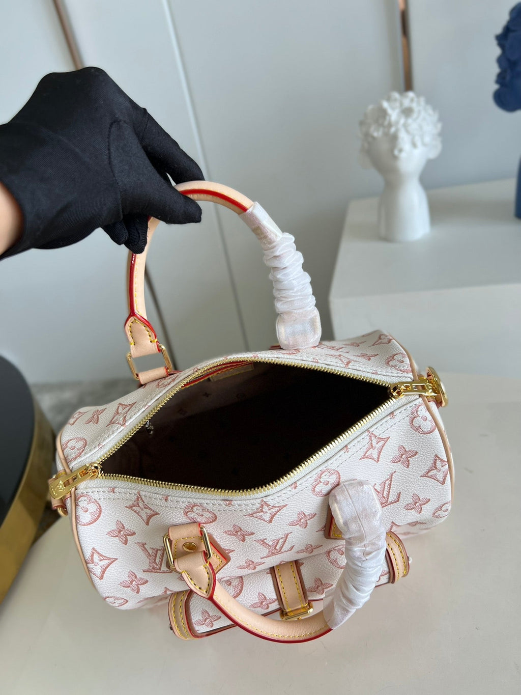 Louis Vuitton Speedy Bandoulière 25 Bag