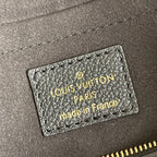 Louis Vuitton Multi Pochette Accessories Bag