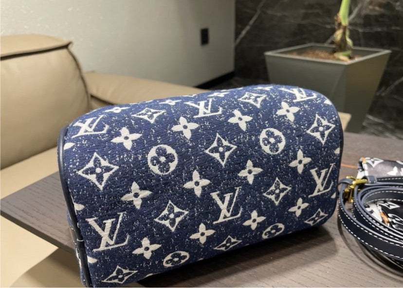 Blue LV new Handbag