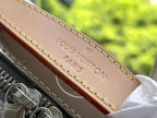 Louis Vuitton Handle Trunk Bag