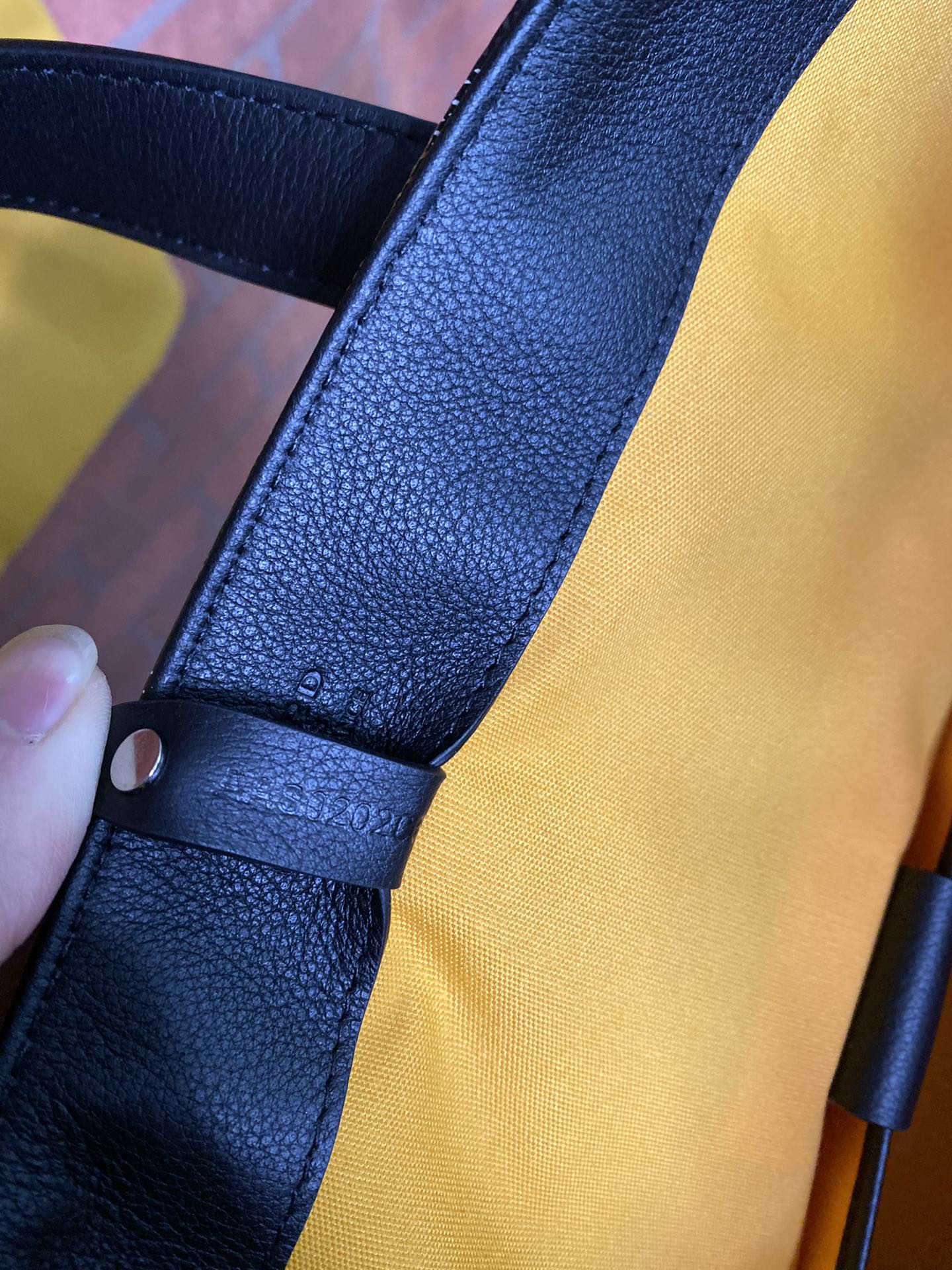 Goyard Voltaire Bag