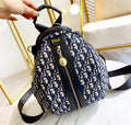 New woman Dior Backpack/ bag