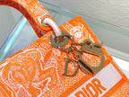 Christian Dior Medium Lady D Lite Bag