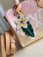 Louis Vuitton Speedy Bandouliere 25 Bag