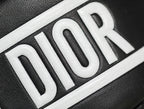 Christian Dior Small Vibe Hobo Bag
