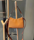Louis Vuitton leather woman handbag