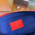 Louis Vuitton Coussin PM Bag