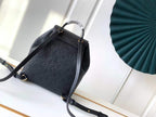 Louis Vuitton Montsouris Backpack