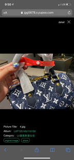 Blue LV new Handbag