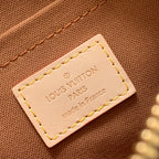 Louis Vuitton Multi Pochette Accessories Bag