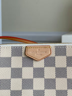 Louis Vuitton Double ZiP Pochette Bag