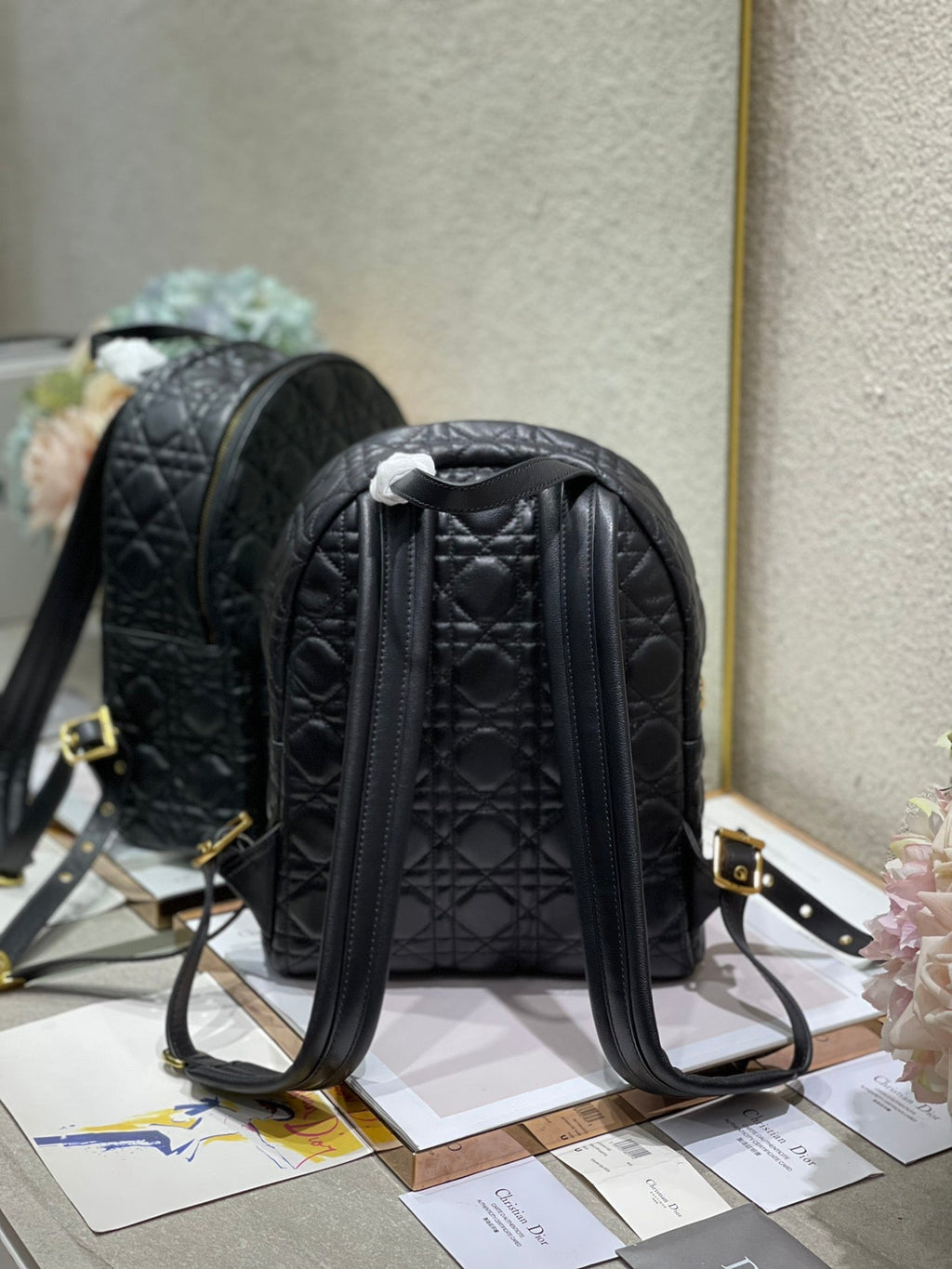 Christian Dior   Backpack