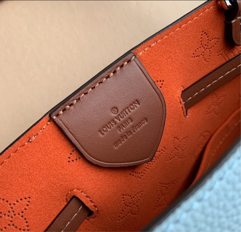 Louis Vuitton woman Handbag