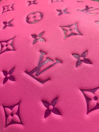 Louis Vuitton Coussin PM Bag