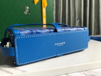 Goyard Minaudiere Trunk Bag