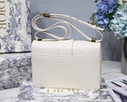 Christian Dior 30 Montaigne Bag