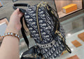 Dior new backpack