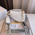 Dior crossbody ladies handbag