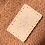Louis Vuitton Multi Pochette Accessories Bag